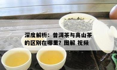 深度解析：普洱茶与高山茶的区别在哪里？图解 视频