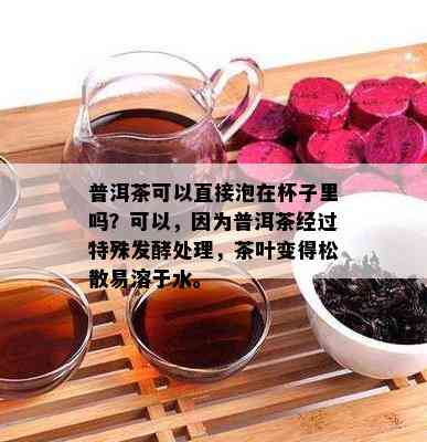 普洱茶可以直接泡在杯子里吗？可以，因为普洱茶经过特殊发酵处理，茶叶变得松散易溶于水。