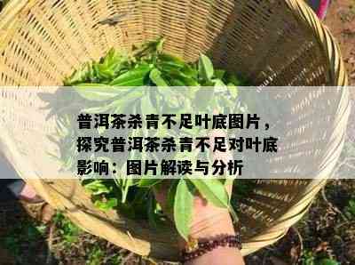 普洱茶杀青不足叶底图片，探究普洱茶杀青不足对叶底作用：图片解读与分析