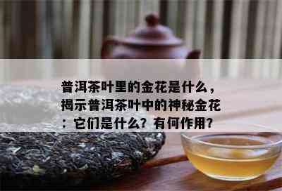 普洱茶叶里的金花是什么，揭示普洱茶叶中的神秘金花：它们是什么？有何作用？