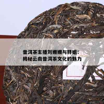 普洱茶主播刘姗姗与胖姐：揭秘云南普洱茶文化的魅力