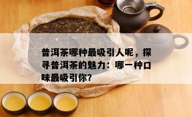 普洱茶哪种最吸引人呢，探寻普洱茶的魅力：哪一种口味最吸引你？