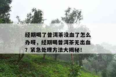 经期喝了普洱茶没血了怎么办呀，经期喝普洱茶无出血？紧急解决方法大揭秘！