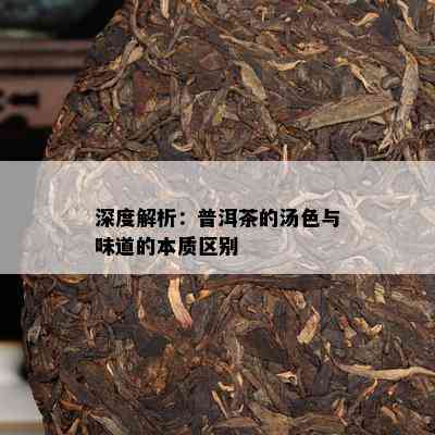 深度解析：普洱茶的汤色与味道的本质区别