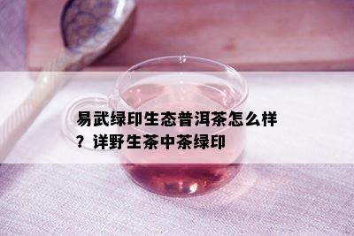 易武绿印生态普洱茶怎么样？详野生茶中茶绿印