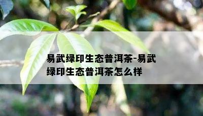 易武绿印生态普洱茶-易武绿印生态普洱茶怎么样