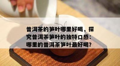 普洱茶的笋叶哪里好喝，探究普洱茶笋叶的特别口感：哪里的普洱茶笋叶更好喝？