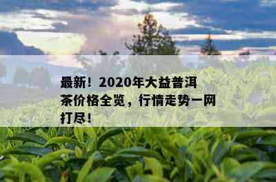 最新！2020年大益普洱茶价格全览，行情走势一网打尽！