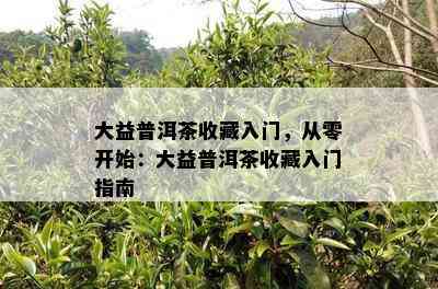 大益普洱茶收藏入门，从零开始：大益普洱茶收藏入门指南