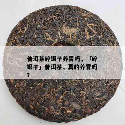 普洱茶碎银子养胃吗，「碎银子」普洱茶，真的养胃吗？