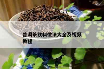 普洱茶饮料做法大全及视频教程