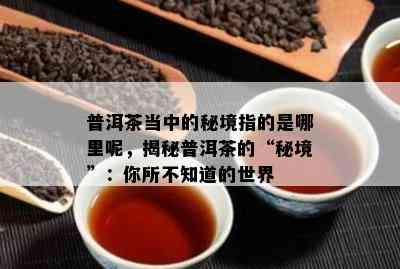 普洱茶当中的秘境指的是哪里呢，揭秘普洱茶的“秘境”：你所不知道的世界