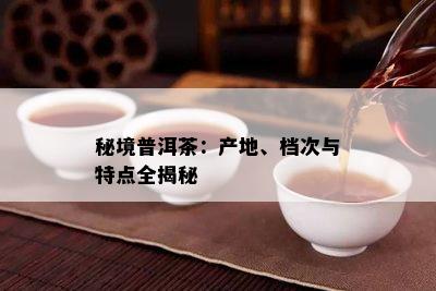 秘境普洱茶：产地、档次与特点全揭秘