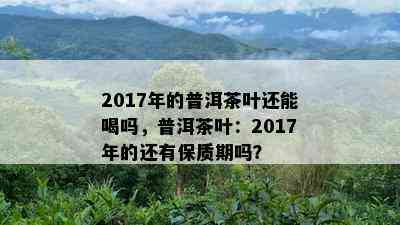 2017年的普洱茶叶还能喝吗，普洱茶叶：2017年的还有保质期吗？