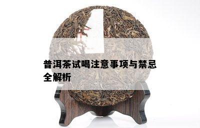 普洱茶试喝注意事项与禁忌全解析