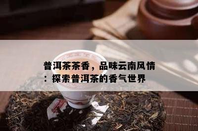 普洱茶茶香，品味云南风情：探索普洱茶的香气世界