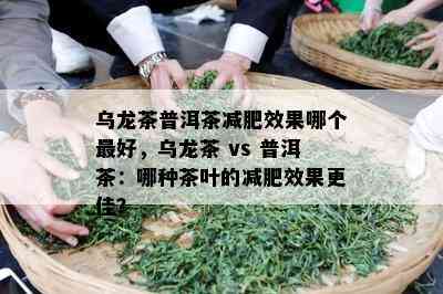 乌龙茶普洱茶减肥效果哪个更好，乌龙茶 vs 普洱茶：哪种茶叶的减肥效果更佳？