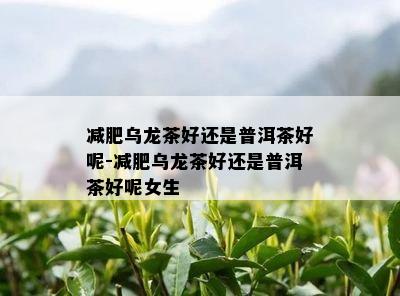 减肥乌龙茶好还是普洱茶好呢-减肥乌龙茶好还是普洱茶好呢女生