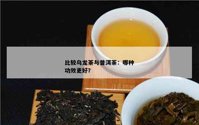 比较乌龙茶与普洱茶：哪种功效更好？