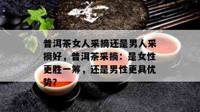 普洱茶女人采摘还是男人采摘好，普洱茶采摘：是女性更胜一筹，还是男性更具优势？