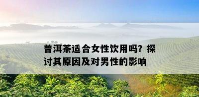 普洱茶适合女性饮用吗？探讨其起因及对男性的作用