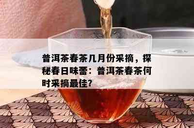 普洱茶春茶几月份采摘，探秘春日味蕾：普洱茶春茶何时采摘更佳？