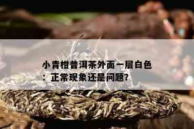 小青柑普洱茶外面一层白色：正常现象还是疑问？