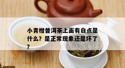 小青柑普洱茶上面有白点是什么？是正常现象还是坏了？