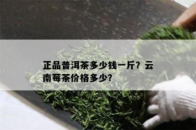 正品普洱茶多少钱一斤？云南莓茶价格多少？