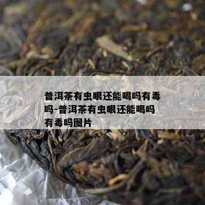 普洱茶有虫眼还能喝吗有吗-普洱茶有虫眼还能喝吗有吗图片