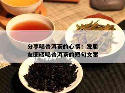 分享喝普洱茶的心情：发朋友圈晒喝普洱茶的短句文案