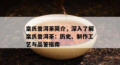 栾氏普洱茶简介，深入了解栾氏普洱茶：历史、制作工艺与品鉴指南