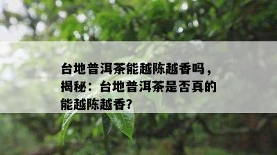 台地普洱茶能越陈越香吗，揭秘：台地普洱茶是不是真的能越陈越香？