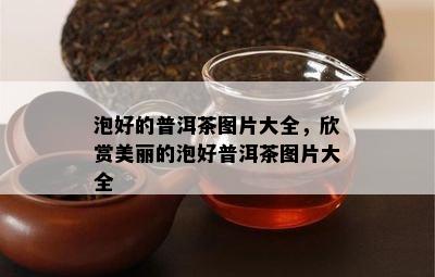 泡好的普洱茶图片大全，欣赏美丽的泡好普洱茶图片大全