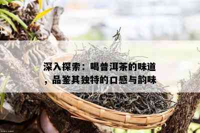 深入探索：喝普洱茶的味道，品鉴其特别的口感与韵味