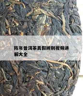 陈年普洱茶真假辨别视频讲解大全