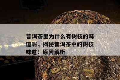 普洱茶里为什么有树枝的味道呢，揭秘普洱茶中的树枝味道：起因解析