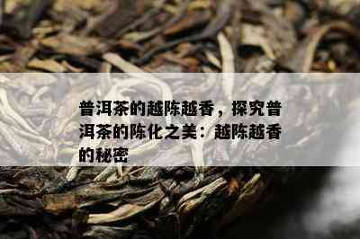 普洱茶的越陈越香，探究普洱茶的陈化之美：越陈越香的秘密