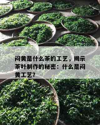 闷黄是什么茶的工艺，揭示茶叶制作的秘密：什么是闷黄工艺？