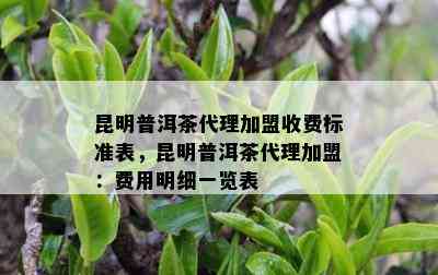 昆明普洱茶代理加盟收费标准表，昆明普洱茶代理加盟：费用明细一览表