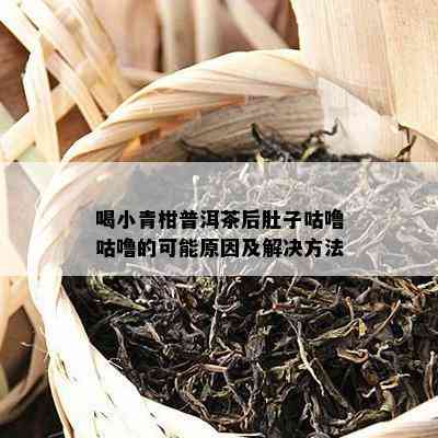 喝小青柑普洱茶后肚子咕噜咕噜的可能原因及解决方法