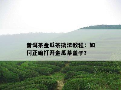 普洱茶金瓜茶撬法教程：怎样正确打开金瓜茶盖子？