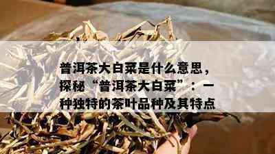 普洱茶大白菜是什么意思，探秘“普洱茶大白菜”：一种独特的茶叶品种及其特点