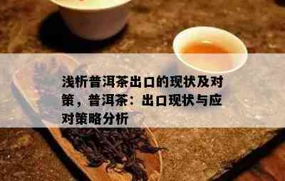 浅析普洱茶出口的现状及对策，普洱茶：出口现状与应对策略分析