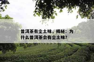 普洱茶有尘土味，揭秘：为什么普洱茶会有尘土味？