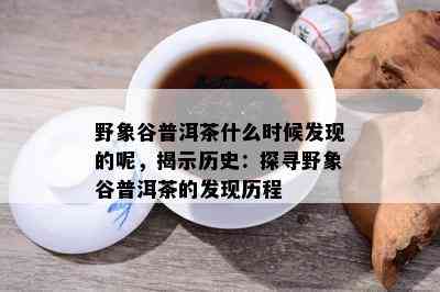 野象谷普洱茶什么时候发现的呢，揭示历史：探寻野象谷普洱茶的发现历程