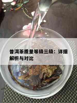 普洱茶品质等级三级：详细解析与对比