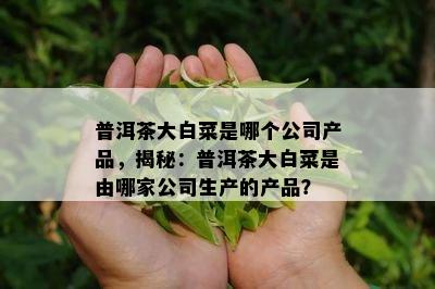 普洱茶大白菜是哪个公司产品，揭秘：普洱茶大白菜是由哪家公司生产的产品？