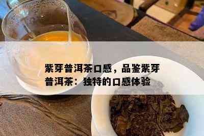 紫芽普洱茶口感，品鉴紫芽普洱茶：特别的口感体验