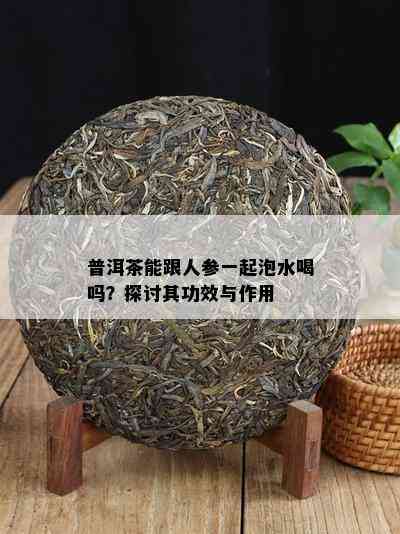 普洱茶能跟人参一起泡水喝吗？探讨其功效与作用